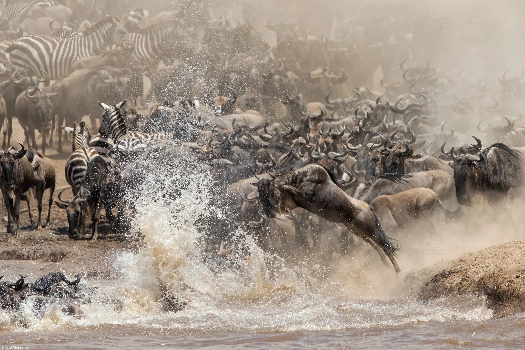The Best Time to Visit the Maasai Mara
